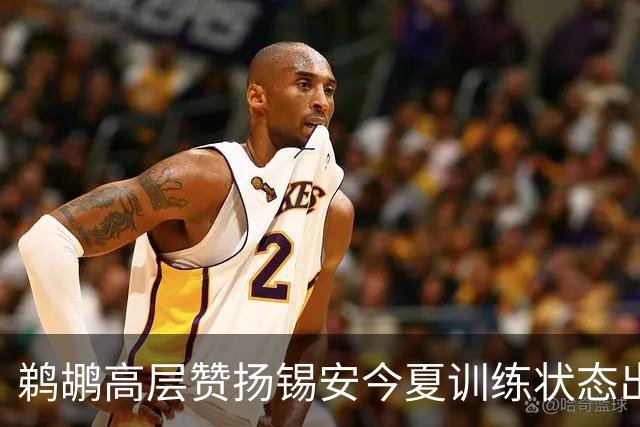 鹈鹕高层赞扬锡安今夏训练状态出色